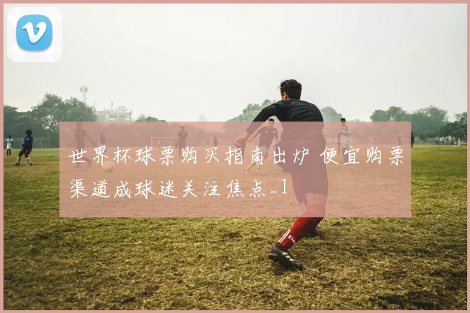 世界杯球票购买指南出炉 便宜购票渠道成球迷关注焦点_1
