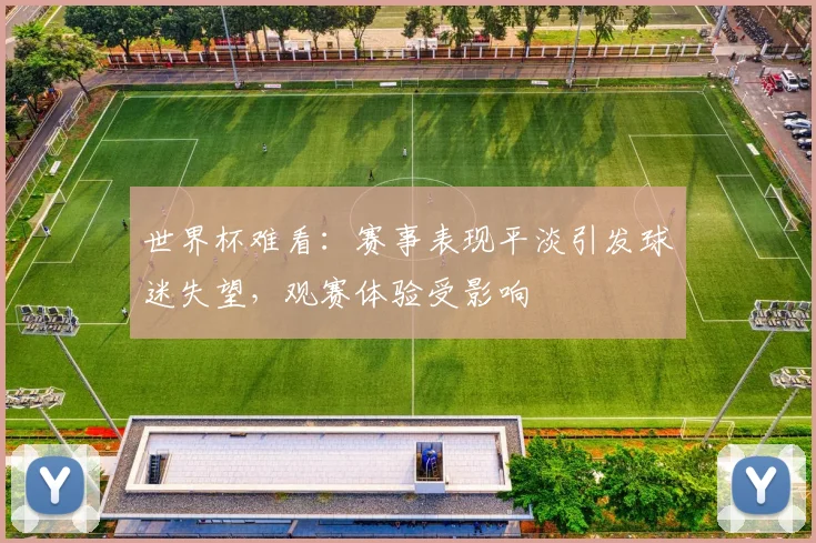 世界杯难看:赛事表现平淡引发球迷失望,观赛体验受影响