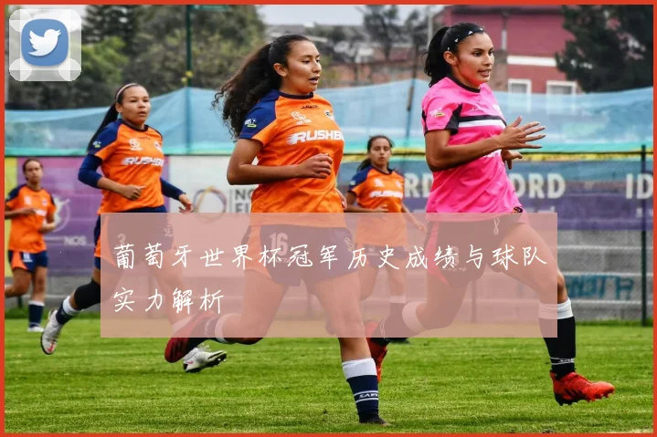 葡萄牙世界杯冠军历史成绩与球队实力解析